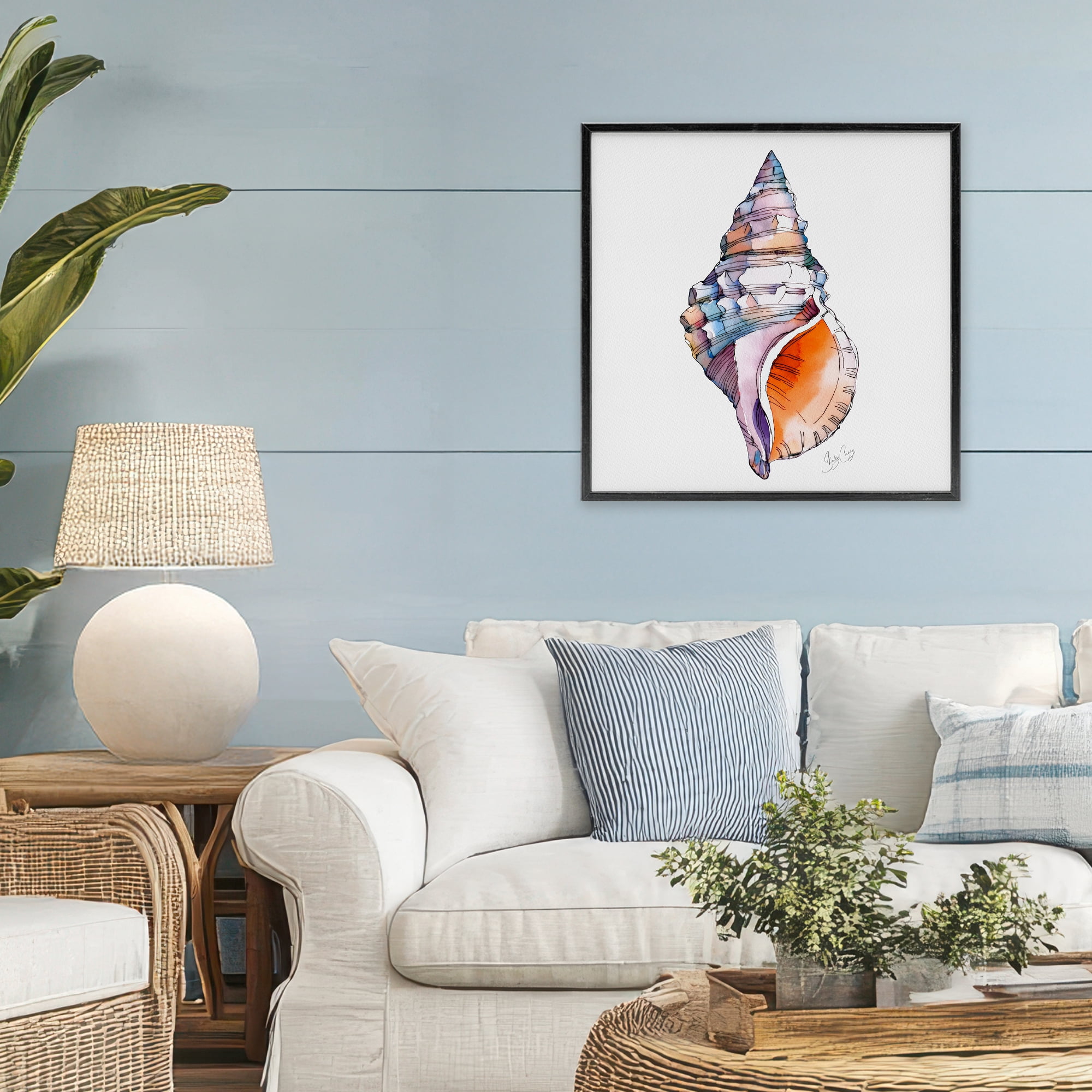 Stupell Industries Sunrise Conch Shell Black Framed Giclee Art, design by Shelly Craig