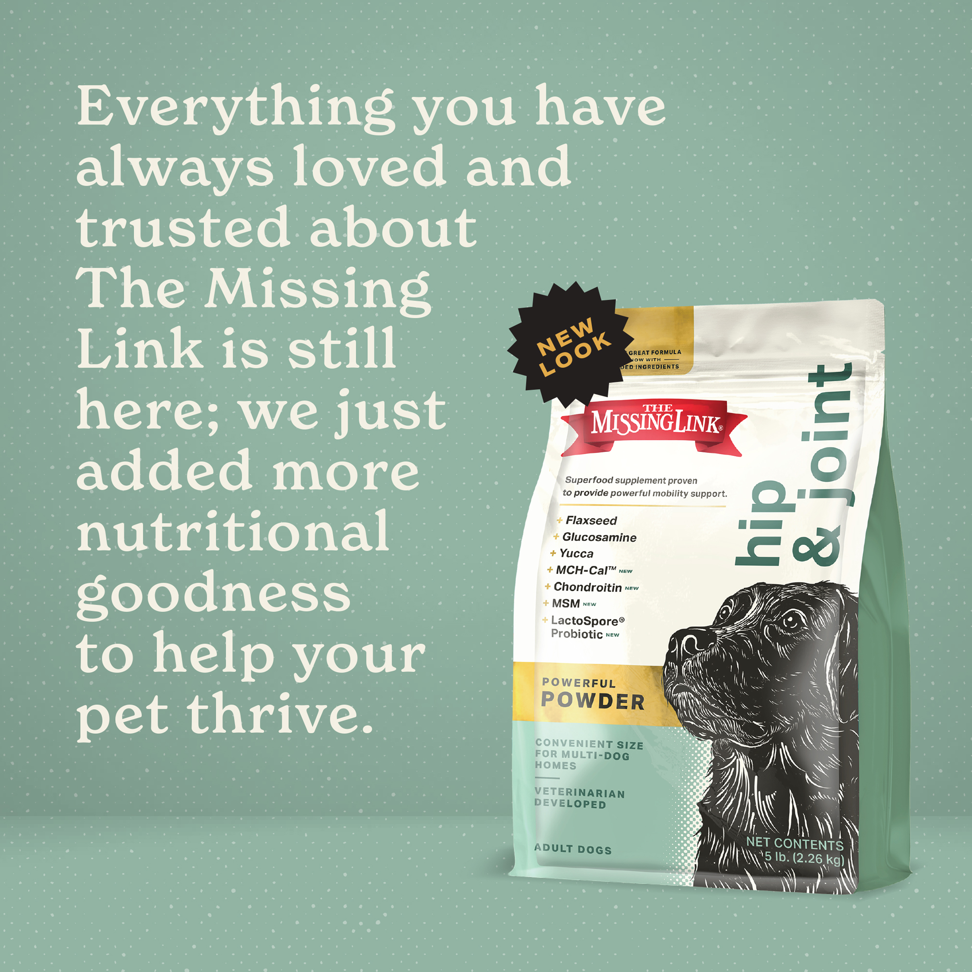 The Missing Link Superfood Powders Hips & Joints Dog Supplement 5 lb Bag