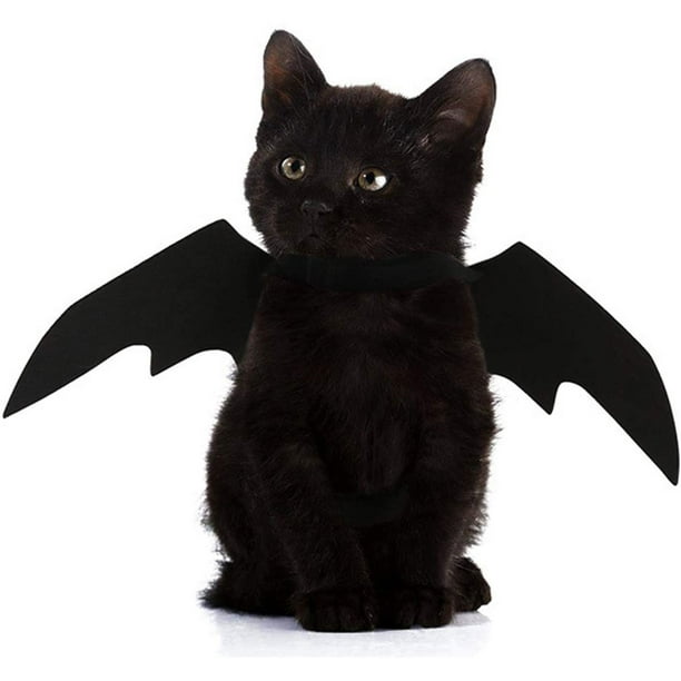 Disfraz de gato para mascotas Alas de murciélago de Halloween Disfraces para mascotas Ropa para mascotas para perros y gatos pequeños, Collar Cosplay Disfraz de murciélago Sincero Hogar