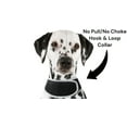 thumbnail image 5 of Waterproof Mini Cell Phone Pet Tracker Dog Cat Collar Mount GPS Device Size:S, 5 of 5