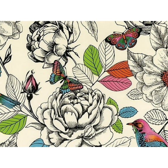 Pack of 1, in Living Color 30" x 417' Half Ream Roll Gift Wrap for Holiday, Party, Kids' Birthday, Wedding & Special Occasion Packaging