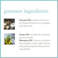 thumbnail image 2 of Camille Rose Coconut Water Conditioner 12oz, 2 of 5