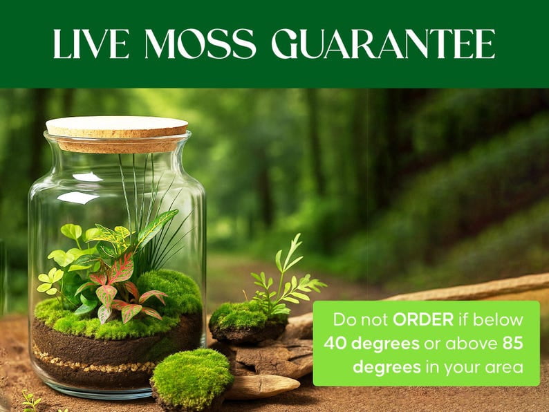 Live Moss Variety Pack for Terrariums – Fresh Live Moss – Natural Green Moss – Pet-Safe Moss for Reptile Tanks, Fairy Gardens, and Indoor Décor