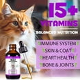 thumbnail image 2 of Cat 15 in 1 Multivitamins Liquid Drops for Heart, Bones, Joint, Skin & Coat, Immune Health Support 2floz/60ml, 2 of 10