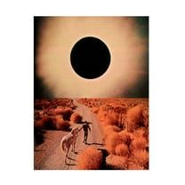 Trademark Fine Art spacerocket art 498 Canvas Wall Art