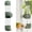 Green, variant on 1 Pack Clear Bird Water Dispenser,Automatic Cage Water Drinker,Plastic Parrot Water Feeder with Spring Valve,for Parakeets Cockatiels Lovebirds & Finches,7.4 Fl Oz ,Pink,By Scheam