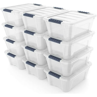 Tribello Clear Plastic Storage Bins with Lids Stackable Storage Bins (15  Quart) 