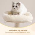 thumbnail image 2 of Árbol para Gatos Heybly HCT004SM Beige con Plataforma Acolchada y Juguete de Peluche, 2 of 9