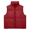 thumbnail image 6 of Vixolx Women Cropped Puffer Vest Zip Up Stand Collar Quilted Sleeveless Jacket Lightweight Fall Winter Casual Outerwear, 6 of 8