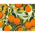 thumbnail image 2 of Gallagher, Megan 32x26 White Modern Wood Framed Museum Art Print Titled - Sweet Clementine I, 2 of 4