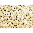 thumbnail image 4 of TomorrowSeeds - White Navy Bean Seeds - 150+ Count - For 2026 Planting Great Northern Beans White, 4 of 8