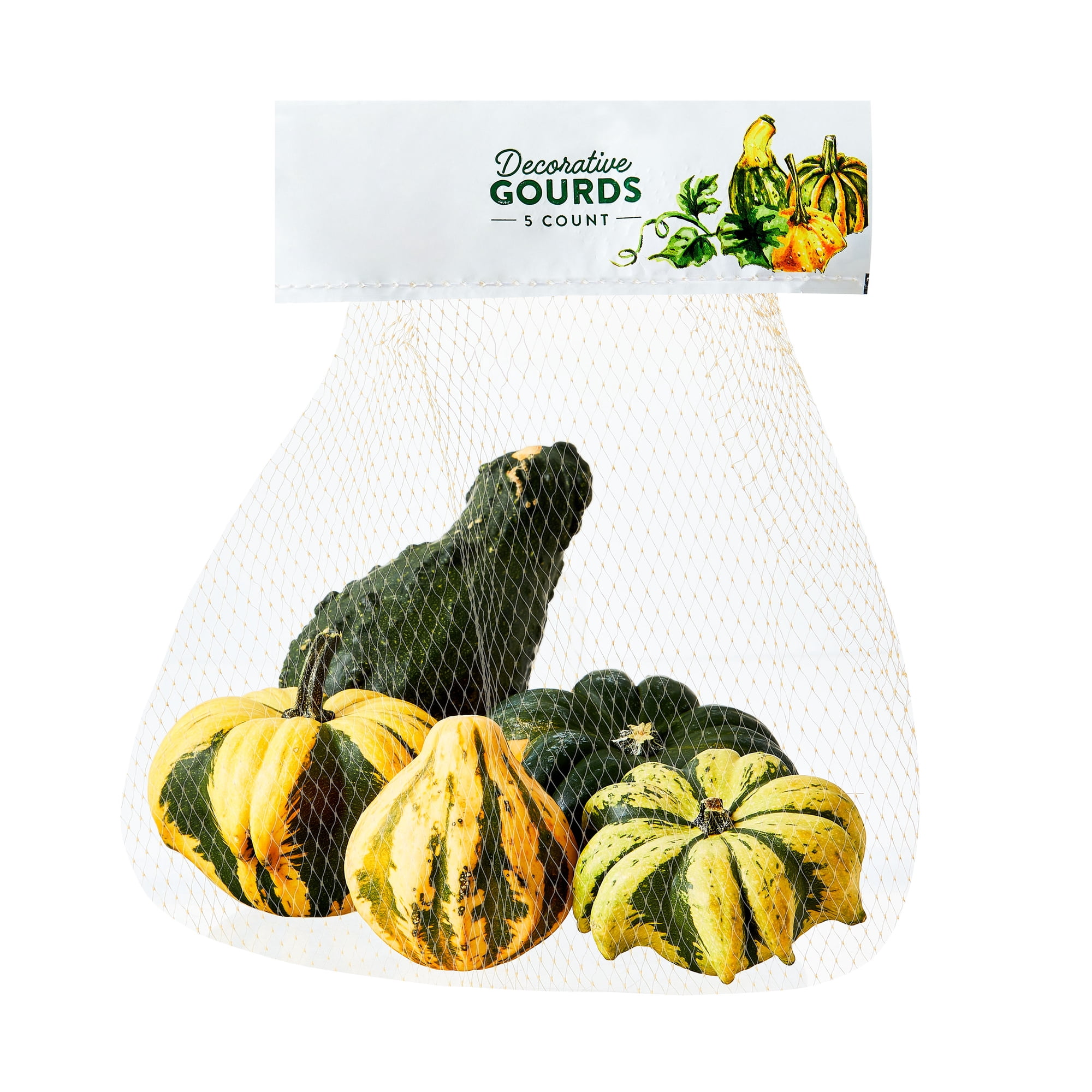 Fresh Decorative Gourds, 5 Count Bag