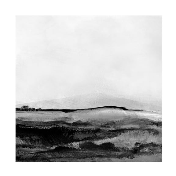 Trademark Fine Art Dan Hobday Mono Landscape No1 Canvas Wall Art