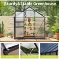 thumbnail image 4 of EastVita 6x6 FT Outdoor Walk-In Greenhouse Heavy-Duty Aluminum Frame and Polycarbonate Panels with Vented Roof Ideal for Backyard Patio Gardening and Wind Protection, 4 of 5