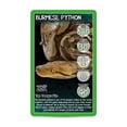 thumbnail image 4 of Top Trumps Snakes Card Game, 4 of 4