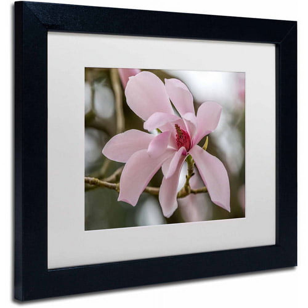 Trademark Fine Art "Magnolia" Canvas Art by Pierre Leclerc, White Matte/Black Frame