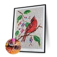 thumbnail image 2 of Cuadros Decorativos Pintura de diamante de taladro completo DIY de pájaro rojo de cristal de forma especial Likrtyny embutido en tela, 2 of 9
