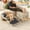 GREY, variant on Becare Pet 2 in 1Dog Ramp for Bed & Couch, Foldable Wooden Pet Stairs 22.83 inches High for Older and Injured Dogs, Split Ottoman&Step Design