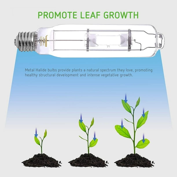 600 watt metal halide grow light outlet