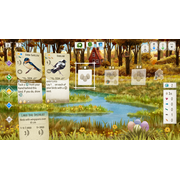 Wingspan Special Edition, Nintendo Switch