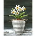 thumbnail image 3 of Wilson, Kelsey 20x24 Black Modern Framed Museum Art Print Titled - Farmhouse Garden II-White Daffodils, 3 of 5