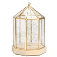 thumbnail image 1 of Geometric Shape Elegant Plants Glass Cover Succulent Plant Holder Home Garden Decoration, 1 of 4