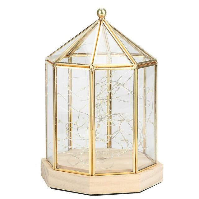 Geometric Shape Elegant Plants Glass Cover Succulent Plant Holder Home Garden Decoration
