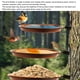 thumbnail image 3 of Bandejas para Pájaros Montadas en árboles para Comedero para Pájaros Cuenco para Baño de Pájaros Bandejas para Comederos para Pájaros con Metal Resistente para Anillo ANGGREK  Otros, 3 of 8