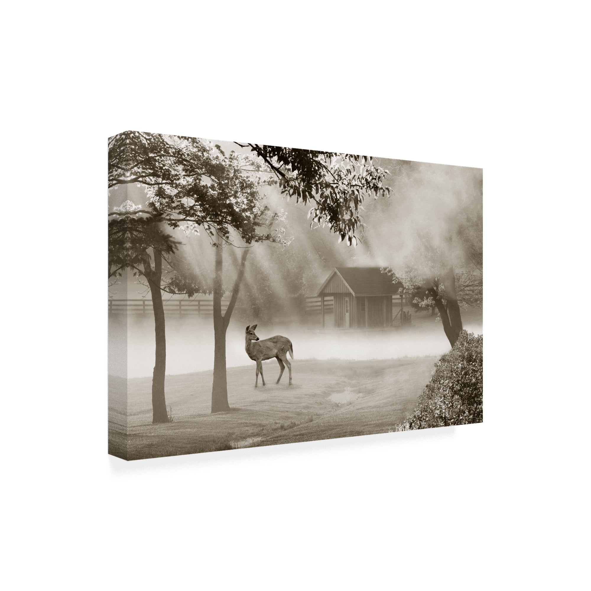 Trademark Fine Art 'Deer In Morning Mist' Canvas Art by Monte Nagler