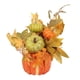 thumbnail image 1 of Flor de calabaza Artificial, accesorios para fotos de Acción de Gracias, arreglo Floral de boda, escultura de calabaza, decoraciones de adorno de, 1 of 9
