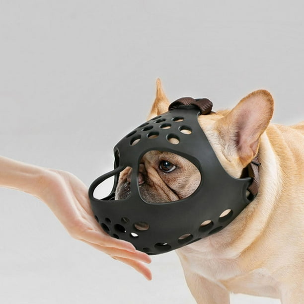 Muzzle to prevent chewing cheap