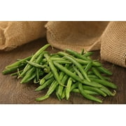 Proven Winners 4-Pack, 4.25 in. Eco+Grande, Blue Lake Green Bean Live Plant Vegetable
