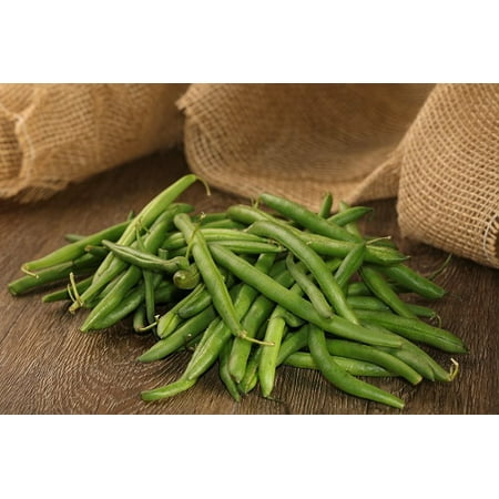 Proven Winners 4-Pack, 4.25 in. Eco+Grande, Blue Lake Green Bean Live Plant Vegetable