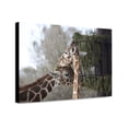 thumbnail image 1 of Canvas Print: Montgomery Zoo, Montgomery, Alabama, 2010, 1 of 3