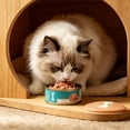 thumbnail image 6 of Pet Food Can Lids Reusable Cat Dog Wet Food Cover, Airtight Airtight Proof Can Topper for Refrigerated Storage, Holiday Souvenir Can Sealer for Pet Food Freshness, 3.54" x 3.93", KTFgvq, 6 of 6