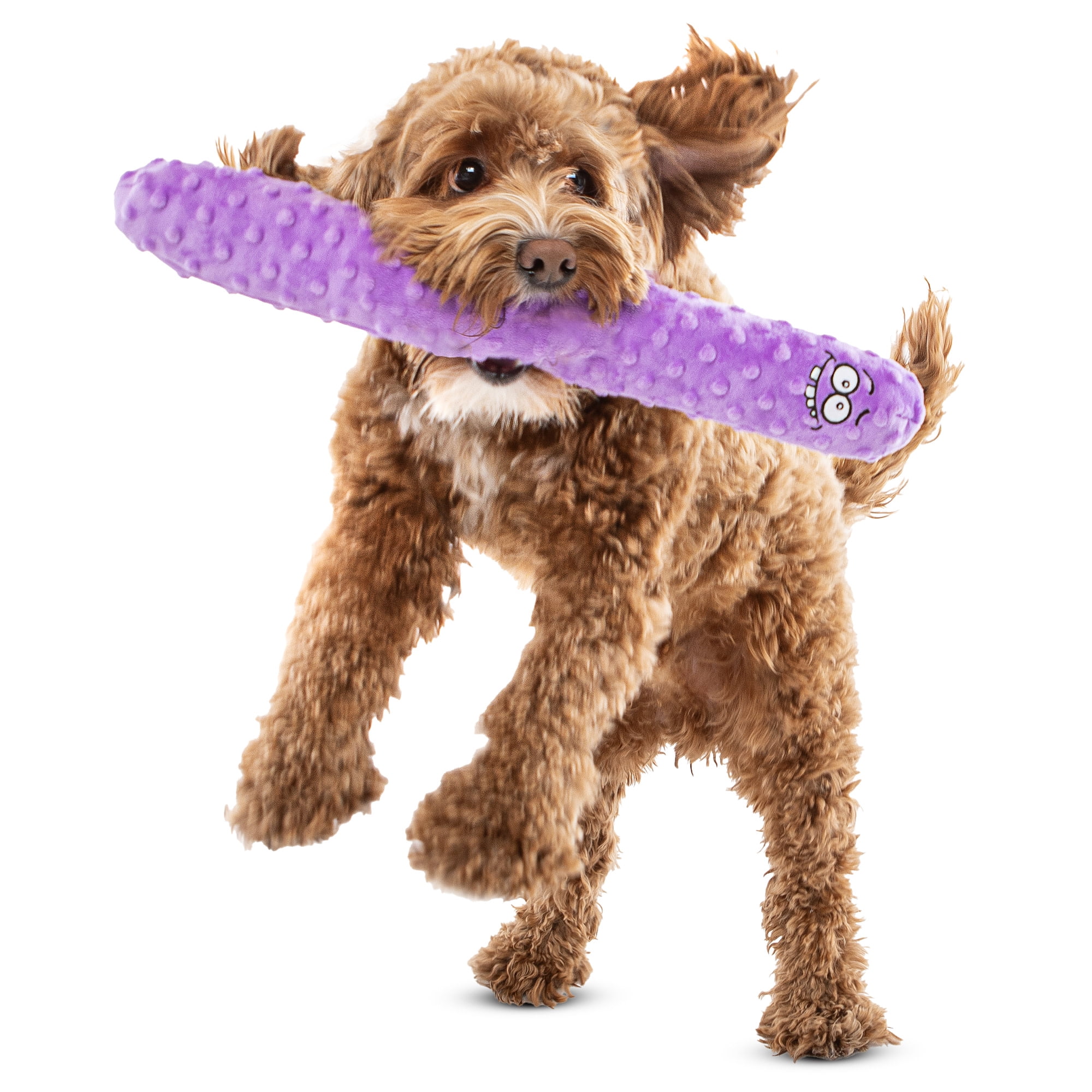 GURU Pet: Fry Guy: 5 Piece Set - Large - 4 Plush Dog Toys w/ Holder, Squeaks & Crinkles, Fry Shape Characters, Durable Fabric, Chew-Fetch-Thrash-Play