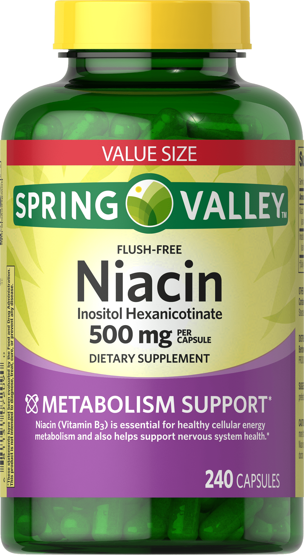 Solgar Niacin (Vitamin B3) 100 mg Tablets - 100 ct (Pack of 2 ...
