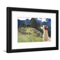 thumbnail image 5 of Llama at Historic Lost City of Machu Picchu  Peru, Animals Framed Art Print Wall Art by Yaro Sold by Art.Com, 5 of 6