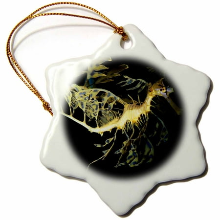 3drose Leafy Sea Dragon Seahorse Phycodurus Eques Snowflake