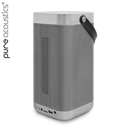 Cordless Portable Cordless PA Audio Speaker Cordless Microphones FM Radio Party Karaoke Machine Sound System - Black & Red Gril