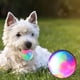 thumbnail image 5 of Pelota de juguete para mascotas, goma resistente a mordeduras, limpieza de dientes, juguete elástico brillante para masticar perros, 5 of 5