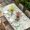 White Green Beige, variant on Green Eucalyptus Leaves Table Cloths for 4 Foot Rectangle Tables, Daisy Summer Botanical Watercolor Patio Waterproof Elastic Fitted Tablecloths, Washable Rectangular Table Cover for Camping