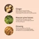 thumbnail image 3 of Aceites esenciales para el cuidado del cabello,CAIXIN sérum para el crecimiento del cabello 30ml para el crecimiento del cabello unisex, 3 of 6