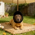 thumbnail image 4 of Dog Outdoor Protection Mask, Breathable Adjustable Mesh Head Guard For Small And Medium Dogs, Face Cover For Hiking, Camping And Travel Adjustable Buckle Design Pet Supplies, 4 of 4