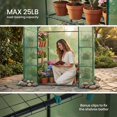 thumbnail image 4 of Greenhouse for Outdoors,55 x 28 78'' Small Greenhouse,Walk in Plant Greenhouses with 3 Tiers 6 Shelves,Heavy Duty Durable PE Cover,Heavy Garden and Backyard, 4 of 5