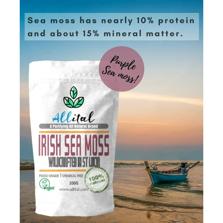 Purple Sea Moss - Raw Wildcrafted St Lucian, 100G Purple Irish SeaMoss,  Organic Vegan Non GMO, Full of Minerals, Great for Smoothies, Soups