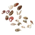 thumbnail image 1 of Cuentas de concha de mar Phenovo para Bricolaje y fabricación de joyas Oro de playa, 1 of 7