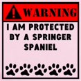 thumbnail image 2 of CafePress - Protected By A Springer Spaniel Body Suit - Baby Light Bodysuit, 2 of 4