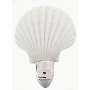 Seashell Night Light Real White Scallop Shell Beach Decor w. Light Sensor Beautiful Coastal Cottage