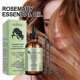 thumbnail image 2 of 3X EELHOE Aceite esencial natural de romero para el cuidado del cabello suave y no irritante, repara el daño del cabello y mejora la calidad del cabello, cuidado suave del cabello antifijación, 2 of 5